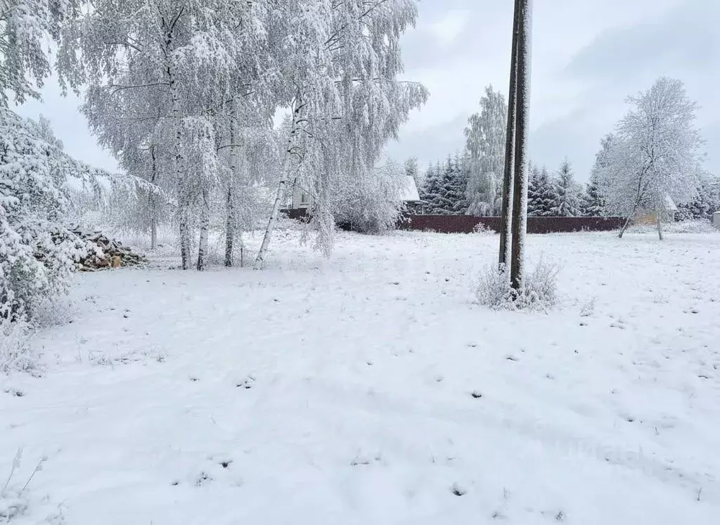 Участок в Ленинградская область, Приозерский район, Громовское с/пос, ... - Фото 1