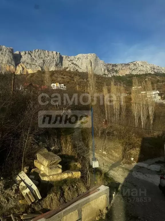 Студия Крым, Ялта муниципальный округ, Парковое пгт ул. Центральная, 1 ... - Фото 1