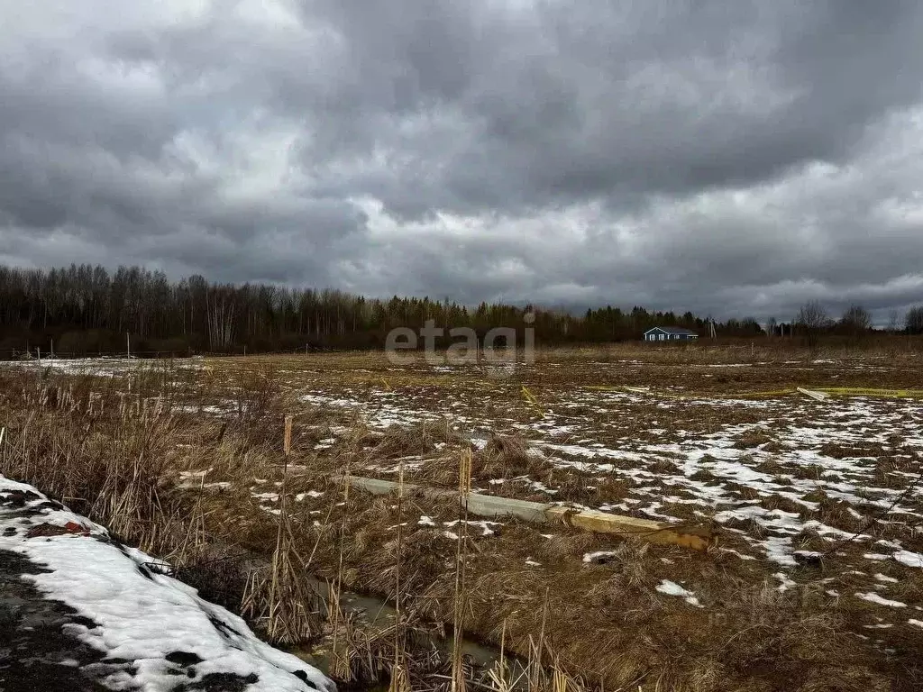 Участок в Ярославская область, Ярославский муниципальный округ, д. ... - Фото 1