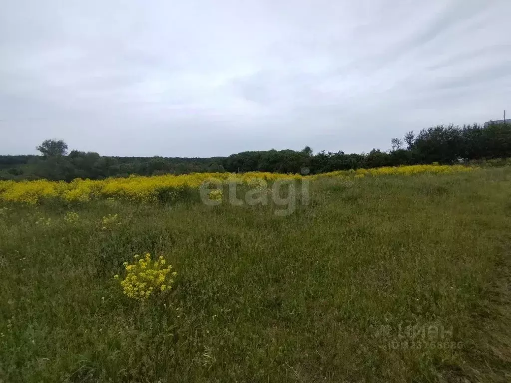 Участок в Мордовия, Старошайговский район, Новоакшинское с/пос, с. ... - Фото 2