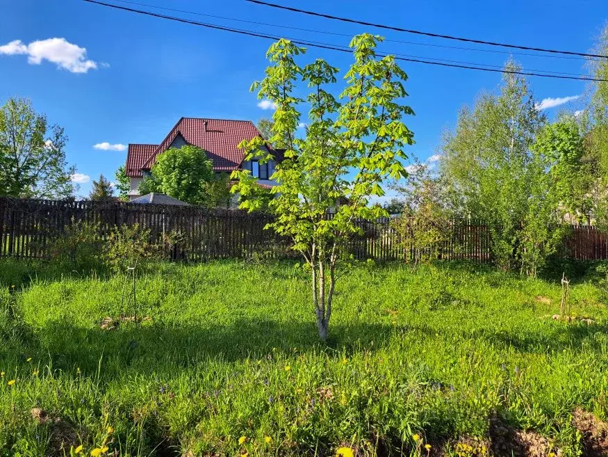 Участок в Московская область, Дмитровский муниципальный округ, с. ... - Фото 1