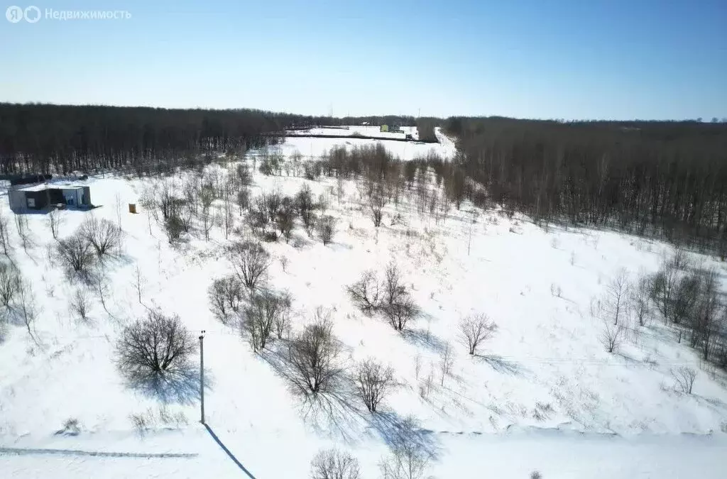 Участок в Хабаровск, садовое товарищество Виктория (13.4 м) - Фото 1