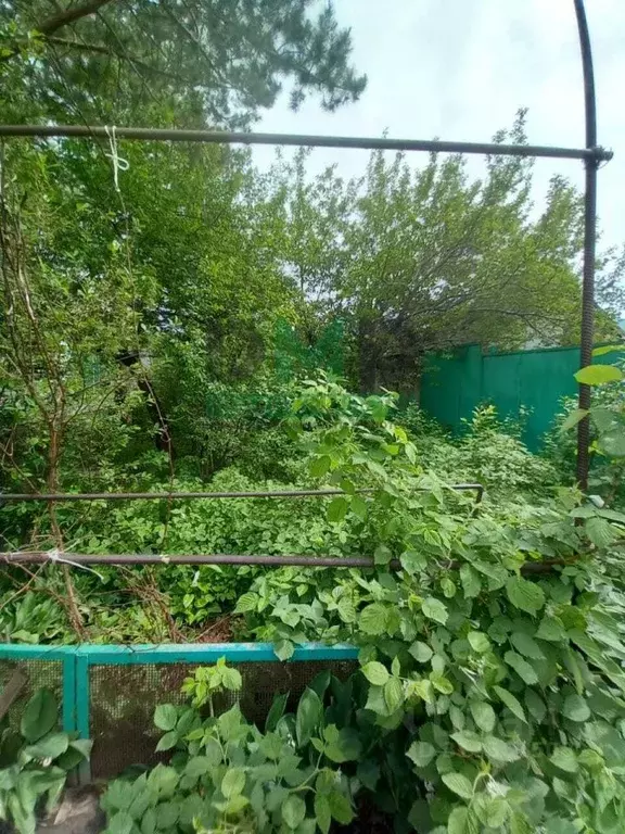 Дом в Оренбургская область, Орск Старый город мкр, ул. Урицкого, 33 ... - Фото 1