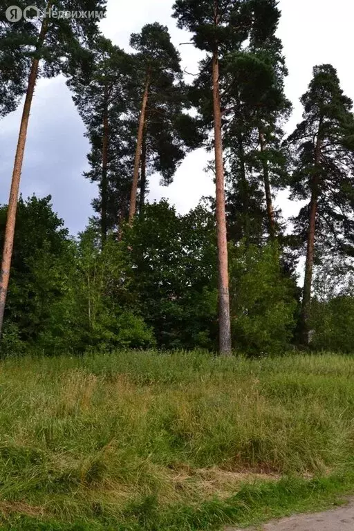 Участок в Пушкино, микрорайон Заветы Ильича, Садовая улица (13 м) - Фото 0