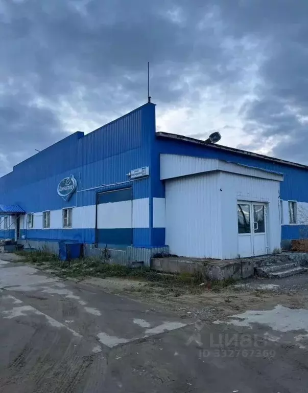Помещение свободного назначения в Ямало-Ненецкий АО, Новый Уренгой ... - Фото 2