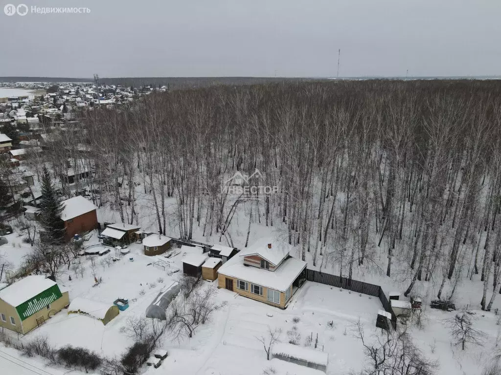 Участок в Сосновский район, Алишевское сельское поселение, село ... - Фото 0