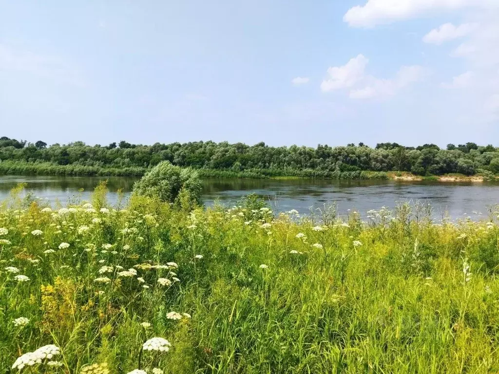 Участок в Тульская область, Ясногорский район, Иваньковское с/пос, д. ... - Фото 1