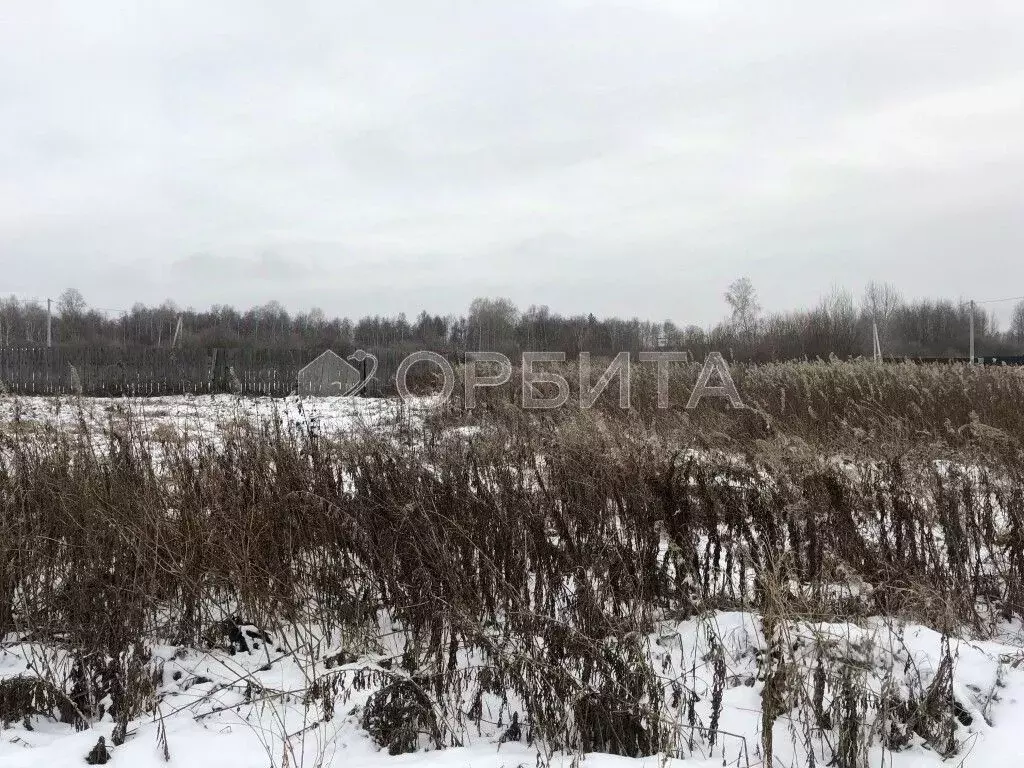 Участок в Тюменская область, Тюменский район, с. Ембаево  (130.0 сот.) - Фото 0