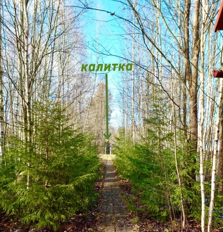 Участок в Московская область, Дмитровский муниципальный округ, ... - Фото 2