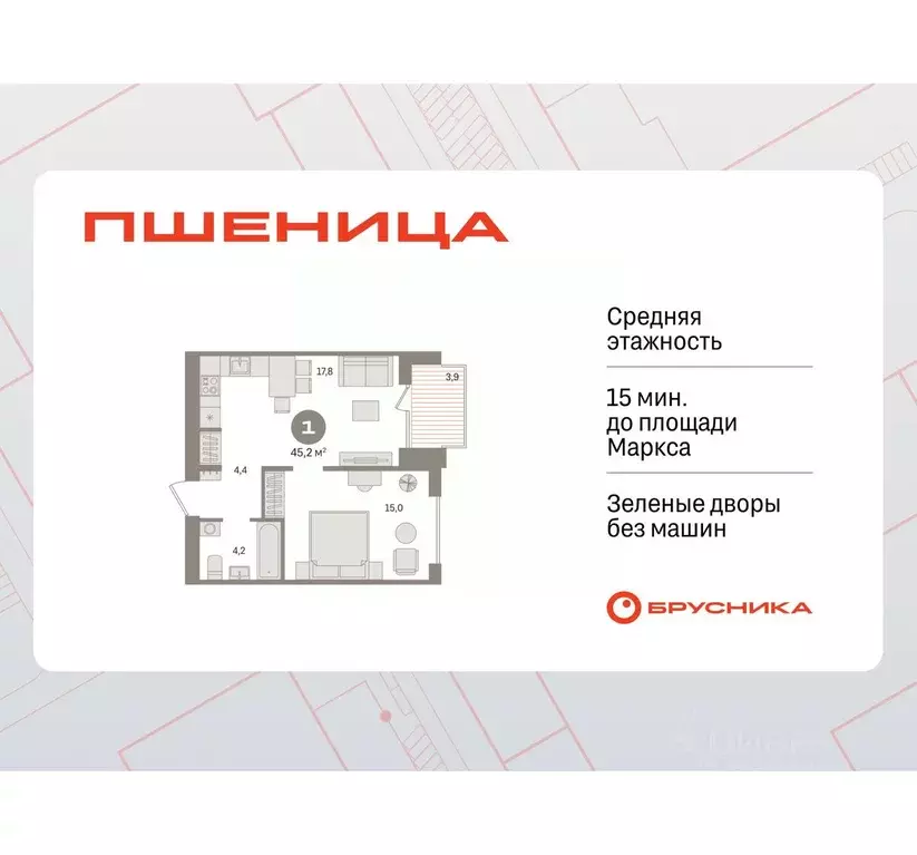 1-к кв. Новосибирская область, Новосибирский район, Краснообск рп ... - Фото 1