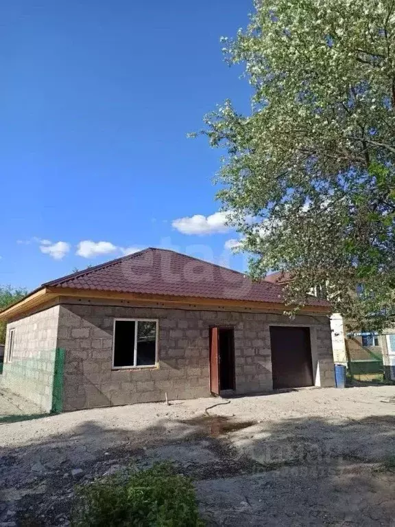 Дом в Амурская область, Благовещенск Театральная ул., 242/9 (96 м) - Фото 2