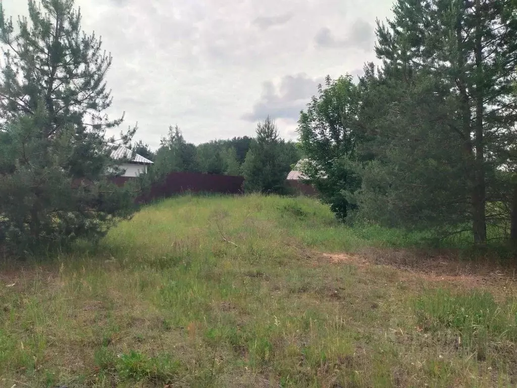 Участок в Московская область, Орехово-Зуевский городской округ, д. ... - Фото 0