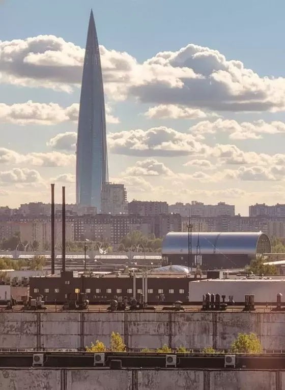 1-к кв. Санкт-Петербург дор. Торфяная, 15к1 (47.0 м) - Фото 1