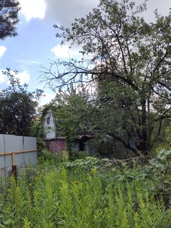 Участок в Татарстан, Зеленодольский район, Васильево муниципальное ... - Фото 0