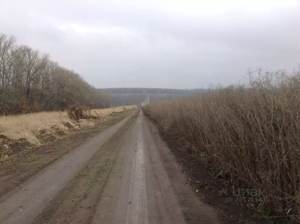 Участок в Курская область, Курск ул. Евгения Носова (10.0 сот.) - Фото 0