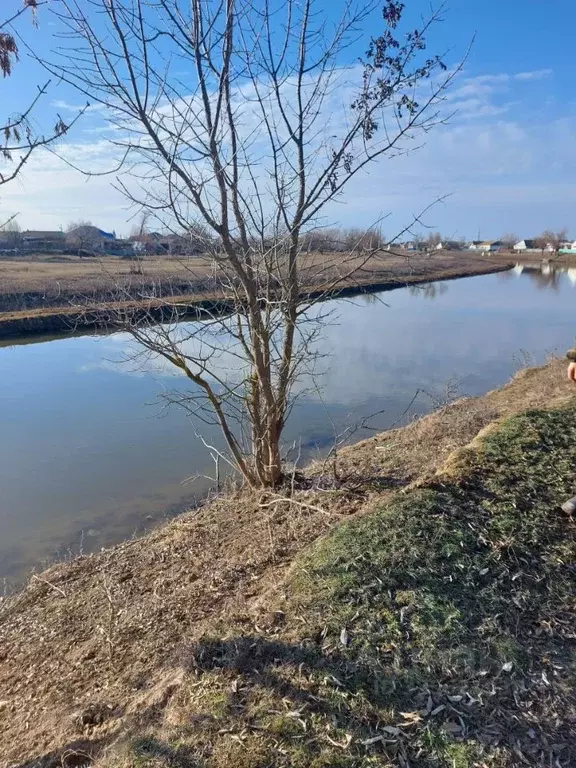 Участок в Астраханская область, Камызякский район, с. Затон ул. ... - Фото 2