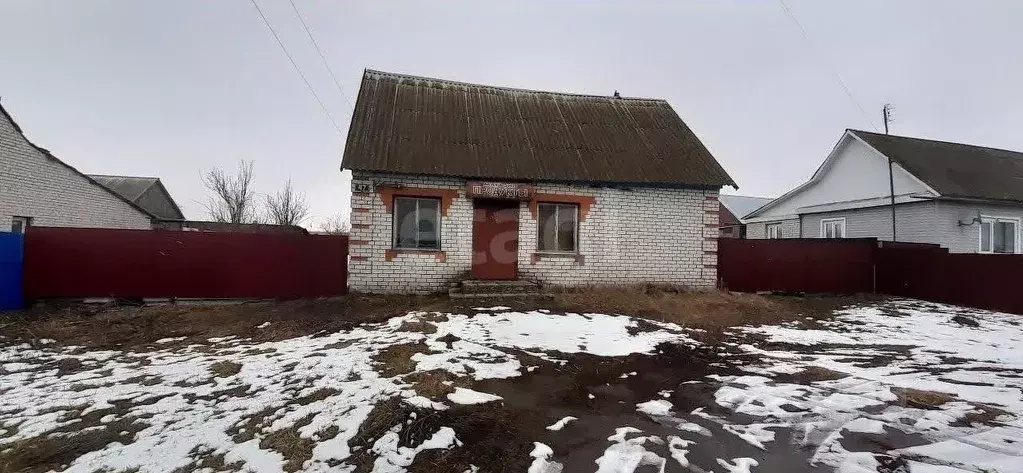 Помещение свободного назначения в Брянская область, Брасовское с/пос, ... - Фото 1