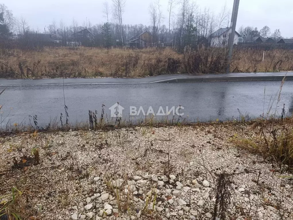 Участок в Владимирская область, Собинка ул. Владимирская (8.0 сот.) - Фото 2