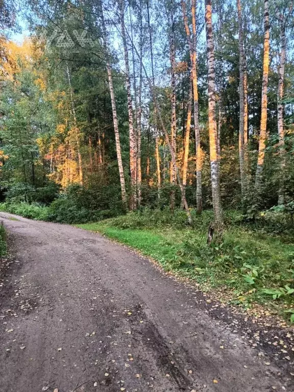 Участок в Нижегородская область, Богородский муниципальный округ, ... - Фото 1