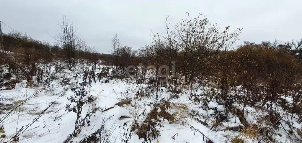 Участок в Воронежская область, Рамонский район, с. Русская Гвоздевка ... - Фото 0