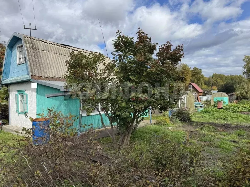 Дом в Новосибирская область, Новосибирский район, Толмачевский ... - Фото 2
