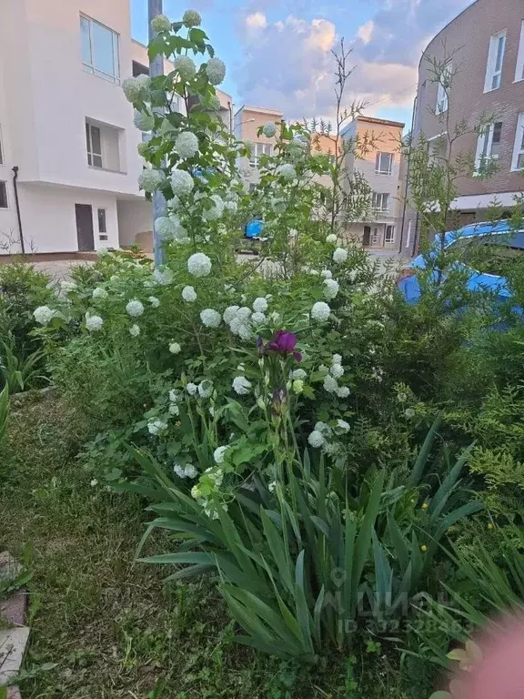 Таунхаус в Московская область, Химки городской округ, д. ... - Фото 2