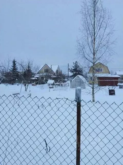 Участок в Ленинградская область, Гатчинский муниципальный округ, Учхоз ... - Фото 2