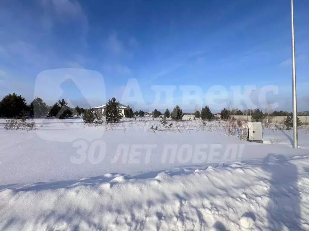 Участок в Тюменская область, Тюменский район, д. Насекина  (12.16 ... - Фото 2