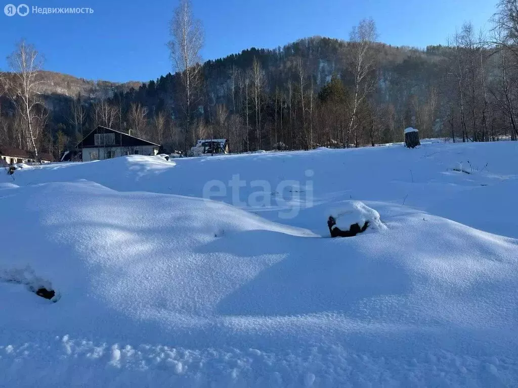 Участок в Майминский район, Соузгинское сельское поселение, посёлок ... - Фото 2