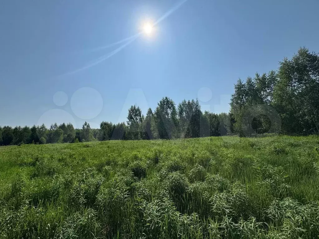 Участок 10 сот. (СНТ, ДНП) - Фото 1