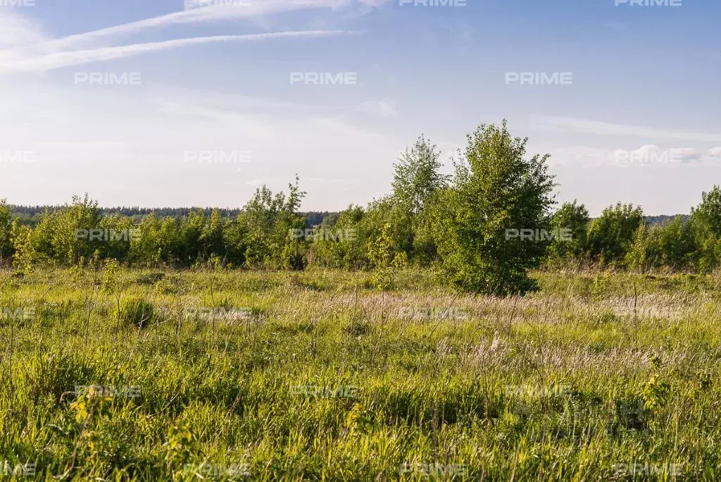 Участок в Московская область, Одинцовский городской округ, д. Сколково ... - Фото 1