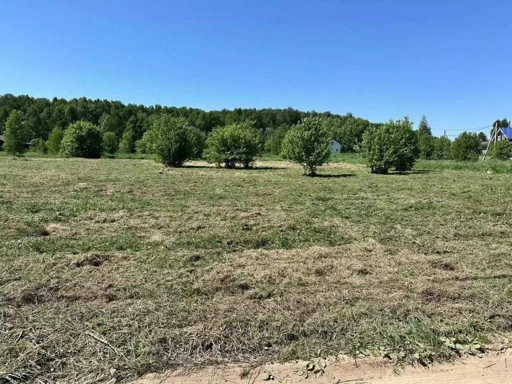 Участок в Нижегородская область, Дальнеконстантиновский муниципальный ... - Фото 2