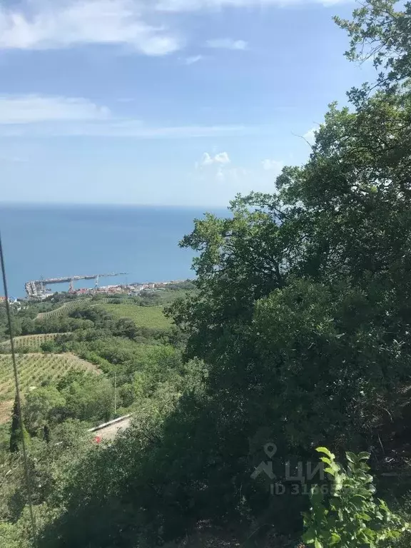 Участок в Крым, Ялта городской округ, Массандра пгт ш. ... - Фото 1