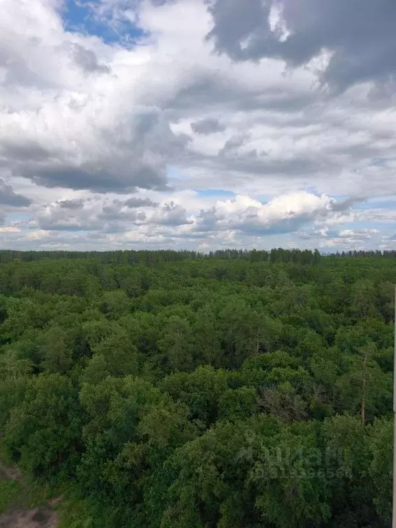 2-к кв. Самарская область, Тольятти Спортивная ул., 1М (97.0 м) - Фото 0