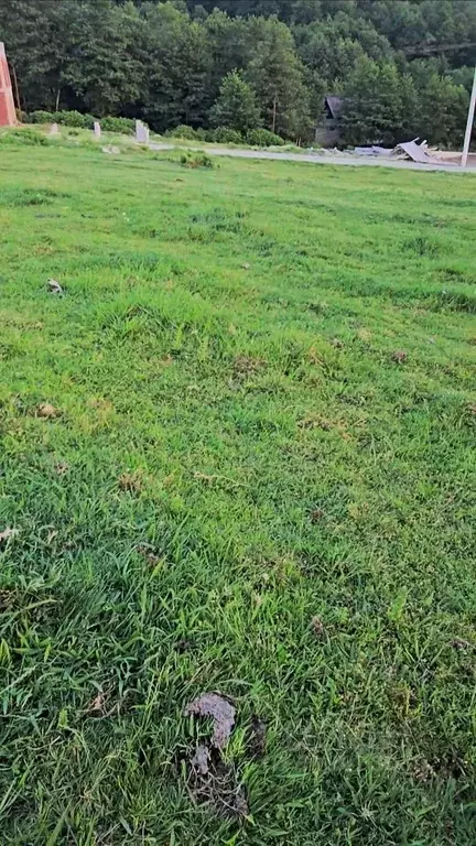 Участок в Краснодарский край, Сочи городской округ, с. Вардане-Верино  ... - Фото 0