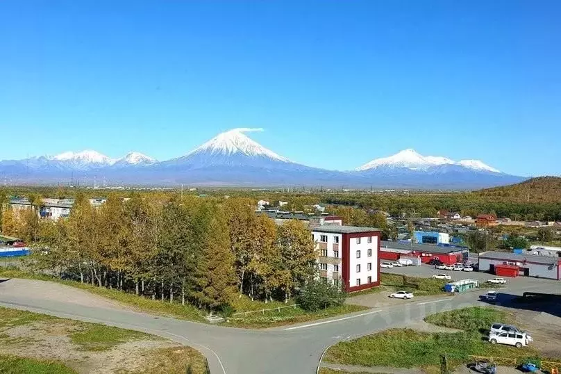 1-к кв. Камчатский край, Елизово Пограничный мкр, ул. Лесная, 14 (42.0 ... - Фото 2