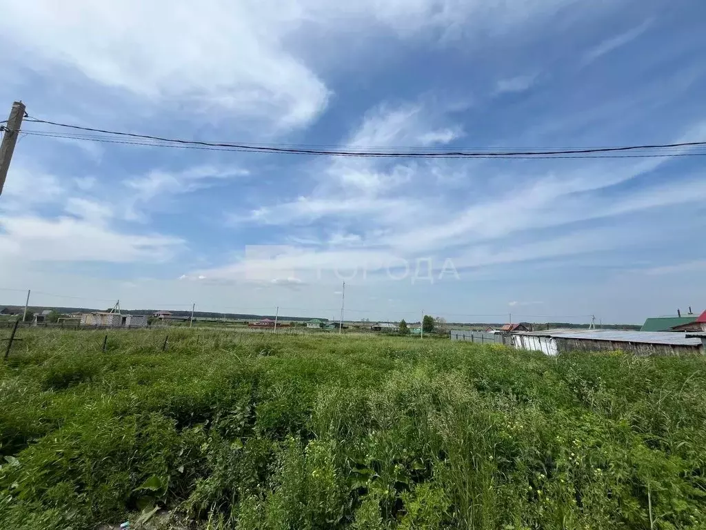 Участок в Новосибирская область, Коченево рп ул. Тихая (10.0 сот.) - Фото 0
