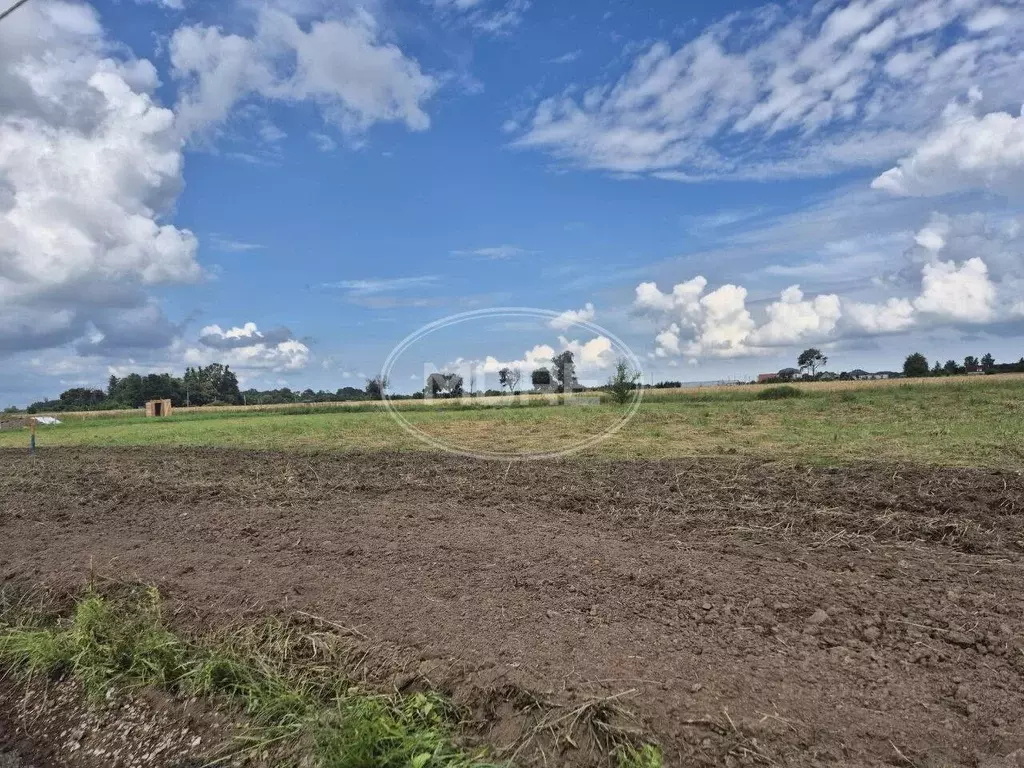 Участок в Калининградская область, Гурьевский муниципальный округ, ... - Фото 1