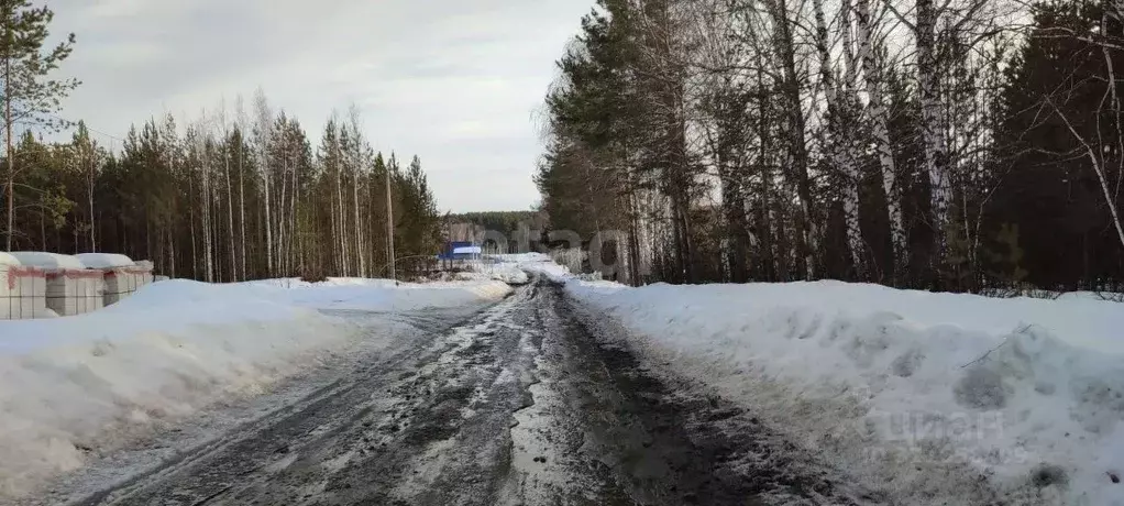 Участок в Свердловская область, Талица Южный-3 мкр,  (15.0 сот.) - Фото 1