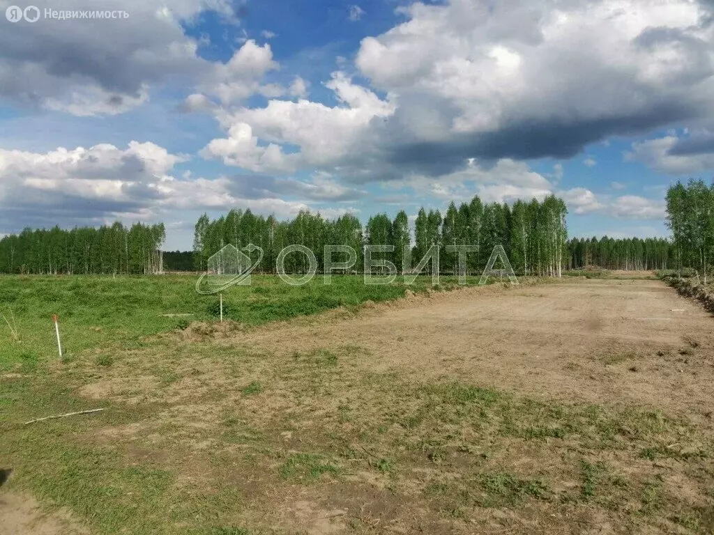 Участок в Тюменский район, деревня Чаплык (13.18 м) - Фото 1