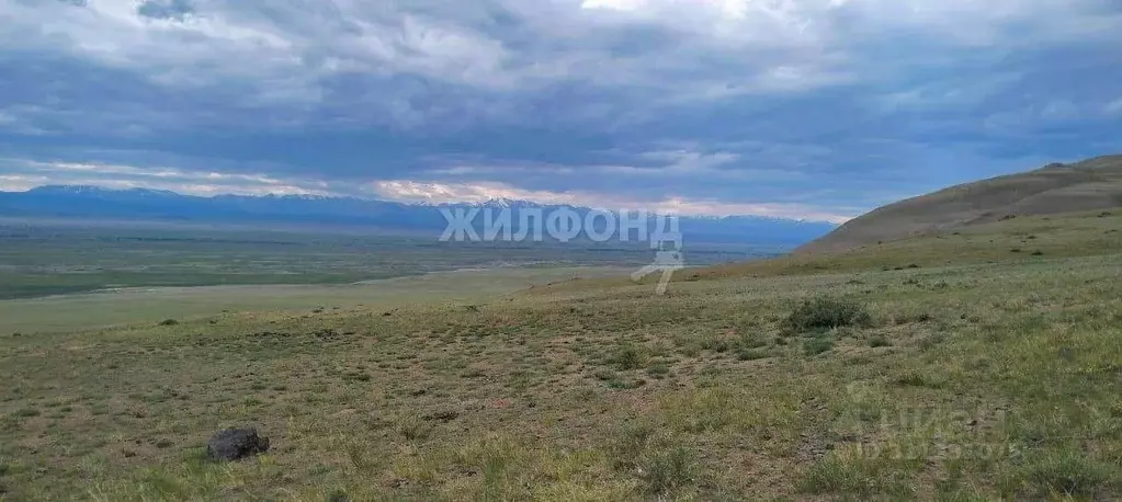 Участок в Алтай, Кош-Агачский район, с. Теленгит-Сортогой Центральная ... - Фото 0