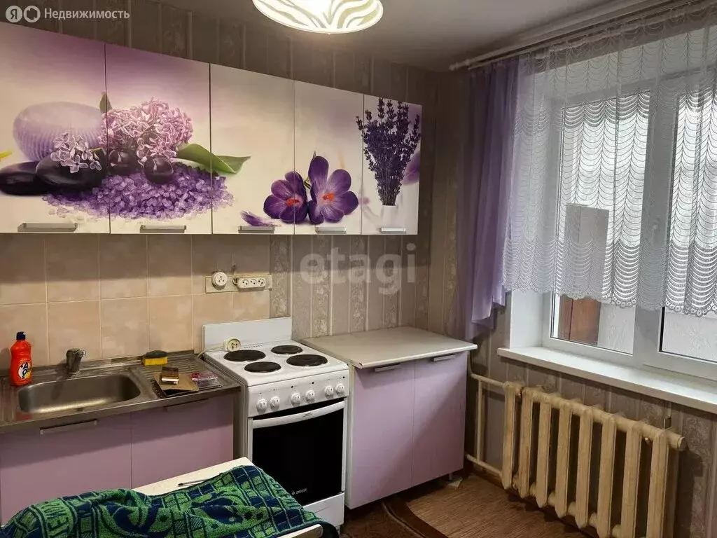 1-комнатная квартира: село Энергетик, Высоковольтная улица, 16 (34.3 ... - Фото 1
