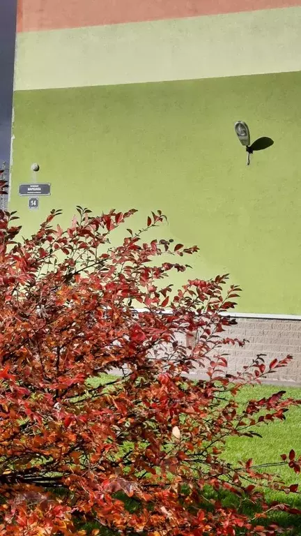 2-к кв. Санкт-Петербург просп. Маршака, 14к2 (59.4 м) - Фото 1