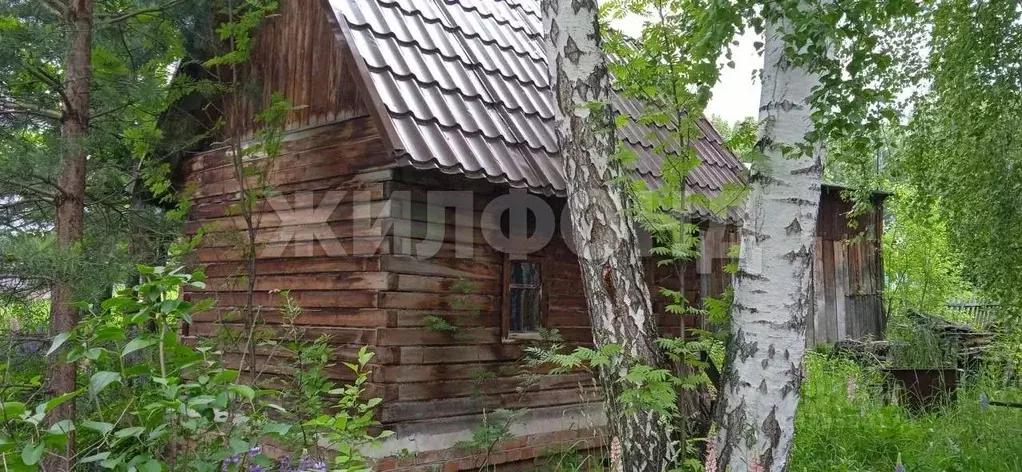 Дом в Новосибирская область, Новосибирский район, Новолуговской ... - Фото 1