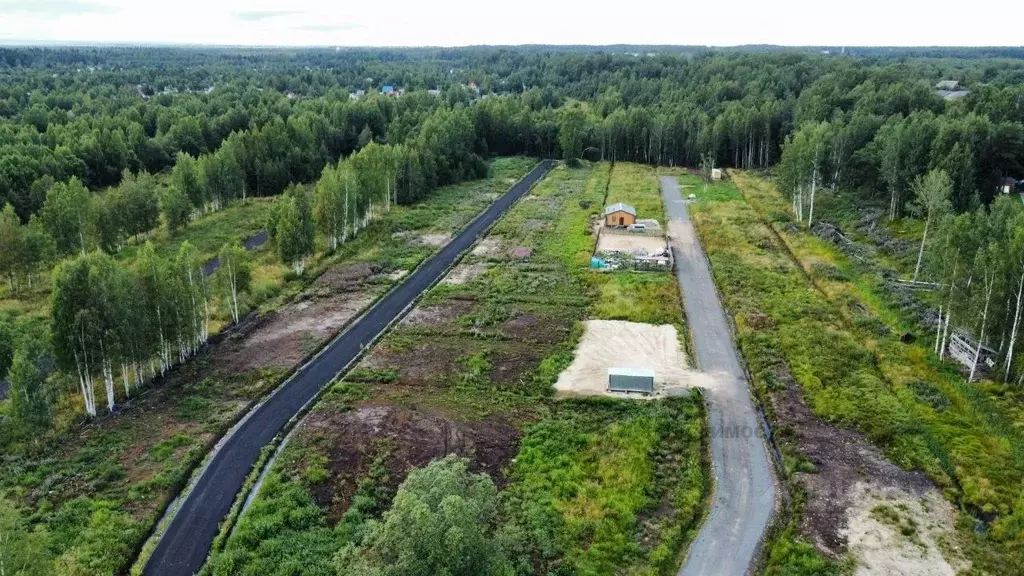 Участок в Ленинградская область, Всеволожский район, Куйвозовское ... - Фото 1