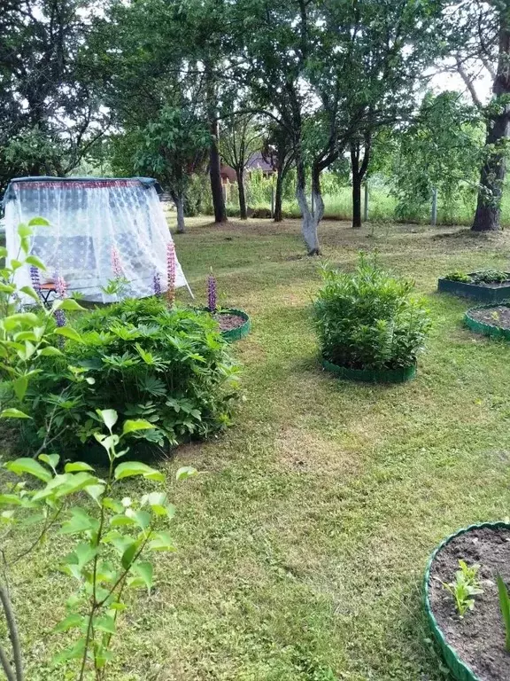 Дом в Тверская область, Старицкий муниципальный округ, д. Аполишено  ... - Фото 2