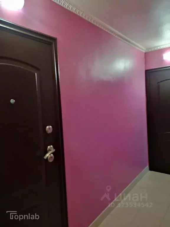 Комната Санкт-Петербург ул. Дыбенко, 9К1 (31.1 м) - Фото 2