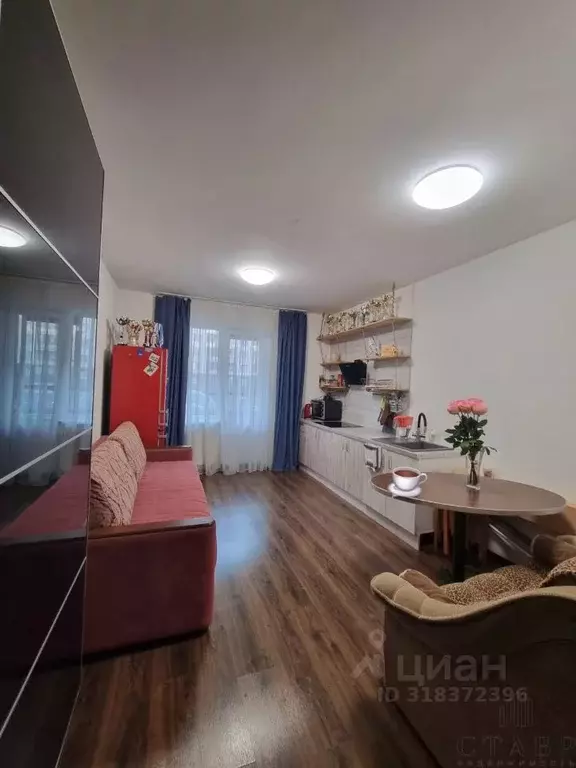 Студия Санкт-Петербург просп. Ветеранов, 171к4 (24.0 м) - Фото 0