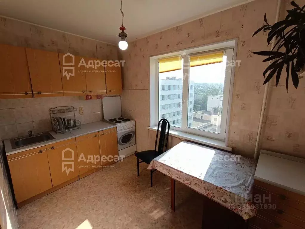 2-к кв. Волгоградская область, Волгоград ул. Богданова, 1/2 (49.5 м) - Фото 1
