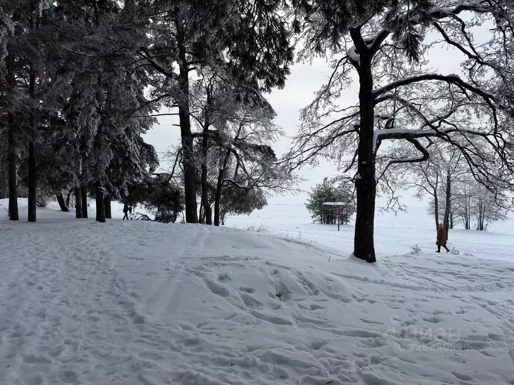 Участок в Санкт-Петербург, Санкт-Петербург, Сестрорецк Канонерка ... - Фото 1